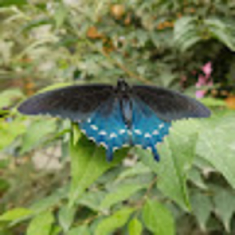 Meet your Posher, Trinity